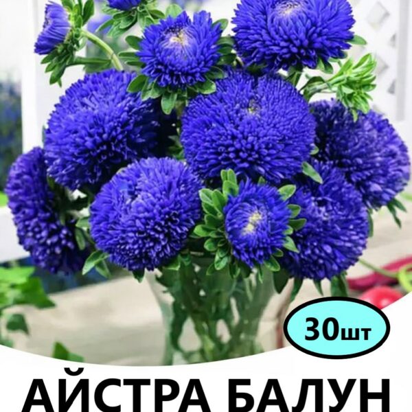 Насіння айстри Балун Синя 30 шт (Satimex)