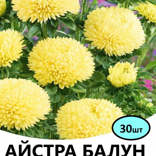 Насіння айстри Балун Жовта 30 шт (Satimex)