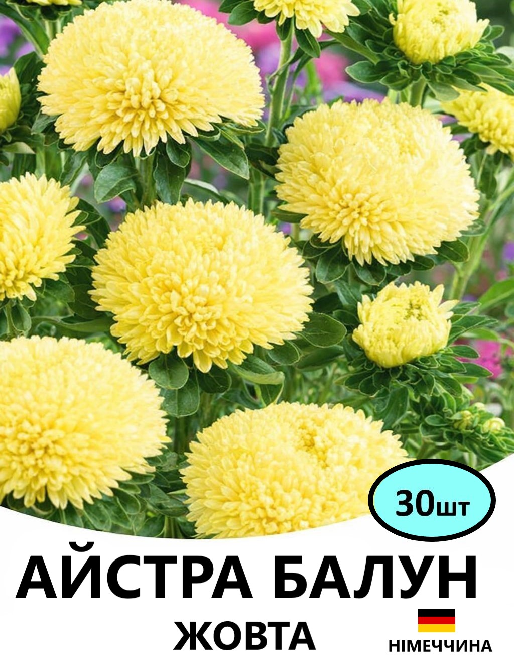БАЛУН ЖОВТА