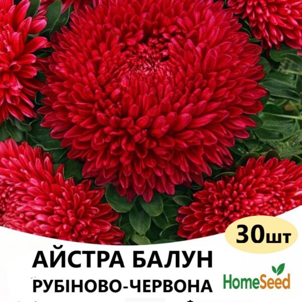 Насіння айстри Балун Рубіново – червона 30 шт (Satimex)
