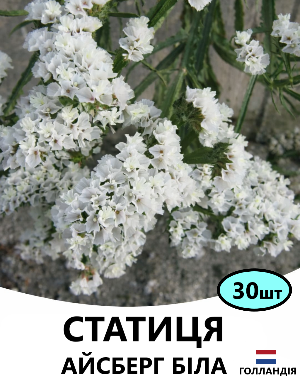 айсберг