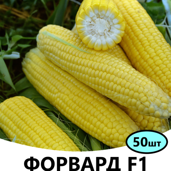 Кукурудза Форвард F1 Spark Seeds – 50шт