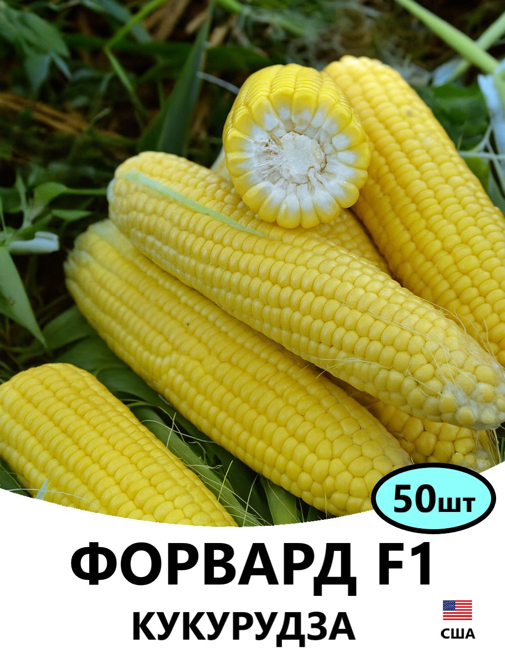 ФОРВАРД 50